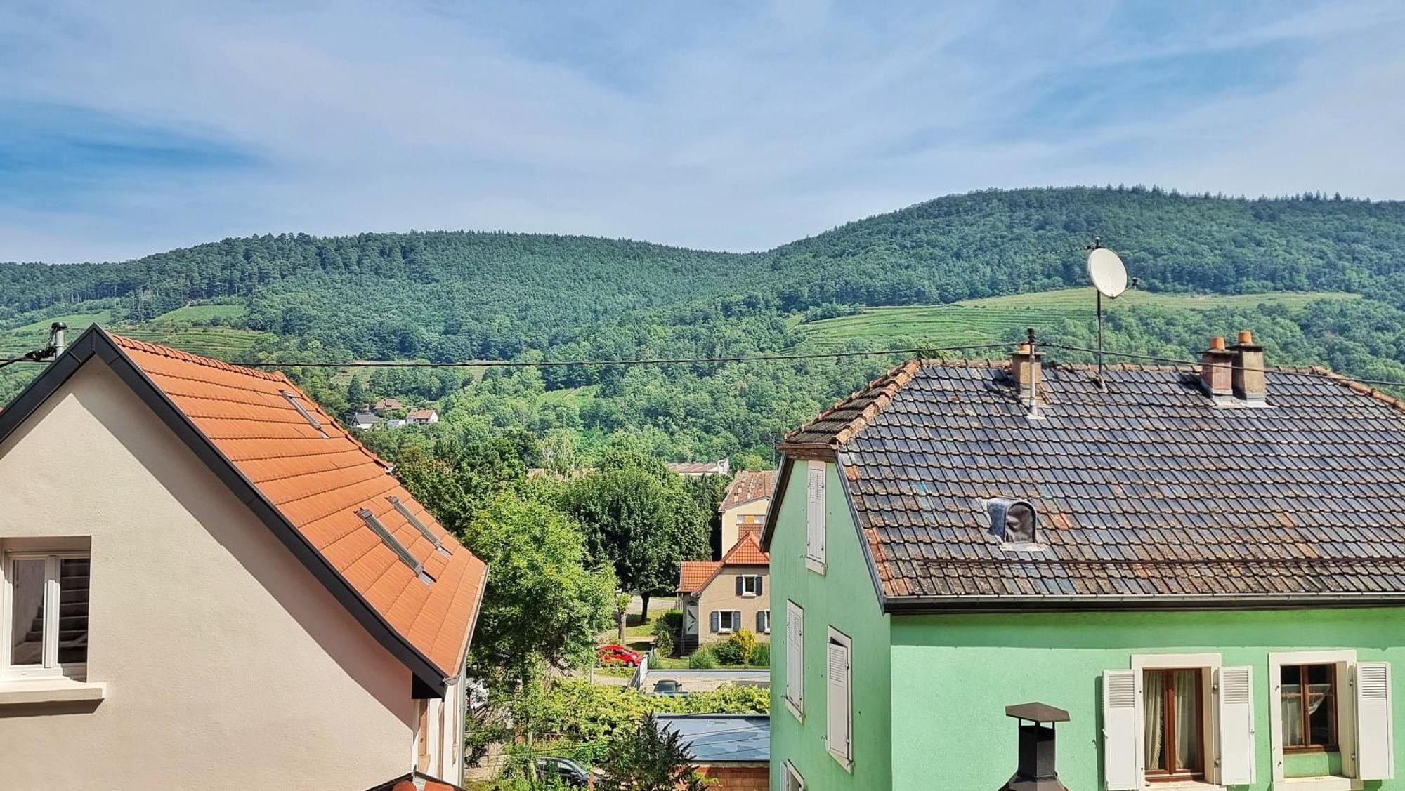 La Buhl Verte - Chic Et Moderne - Calme - Fibre - Relax Bnb 外观 照片