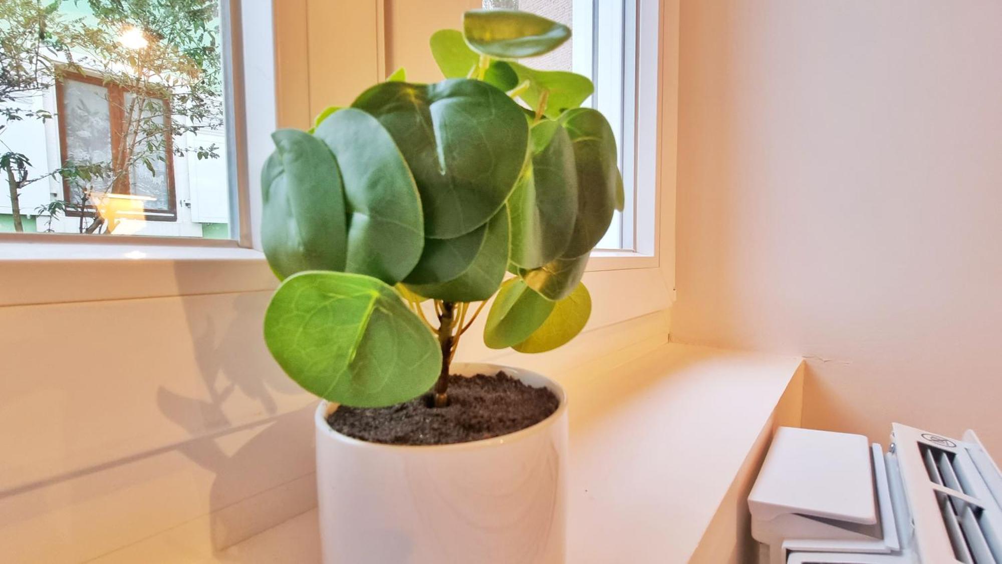 La Buhl Verte - Chic Et Moderne - Calme - Fibre - Relax Bnb 外观 照片